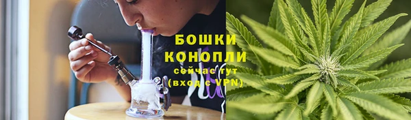 шишки Вязьма