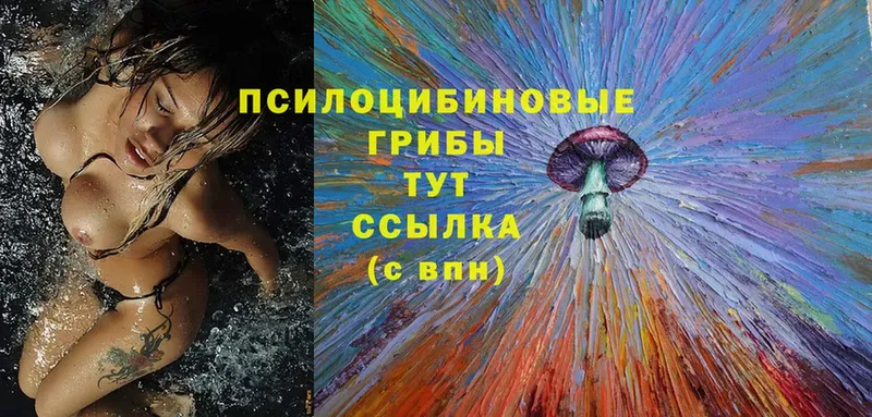 купить закладку  Неман  Псилоцибиновые грибы MAGIC MUSHROOMS 